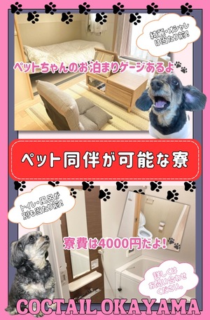 ペット同伴が可能な寮をご紹介?