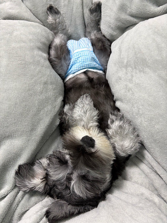 爆サイ?誹謗中傷・・