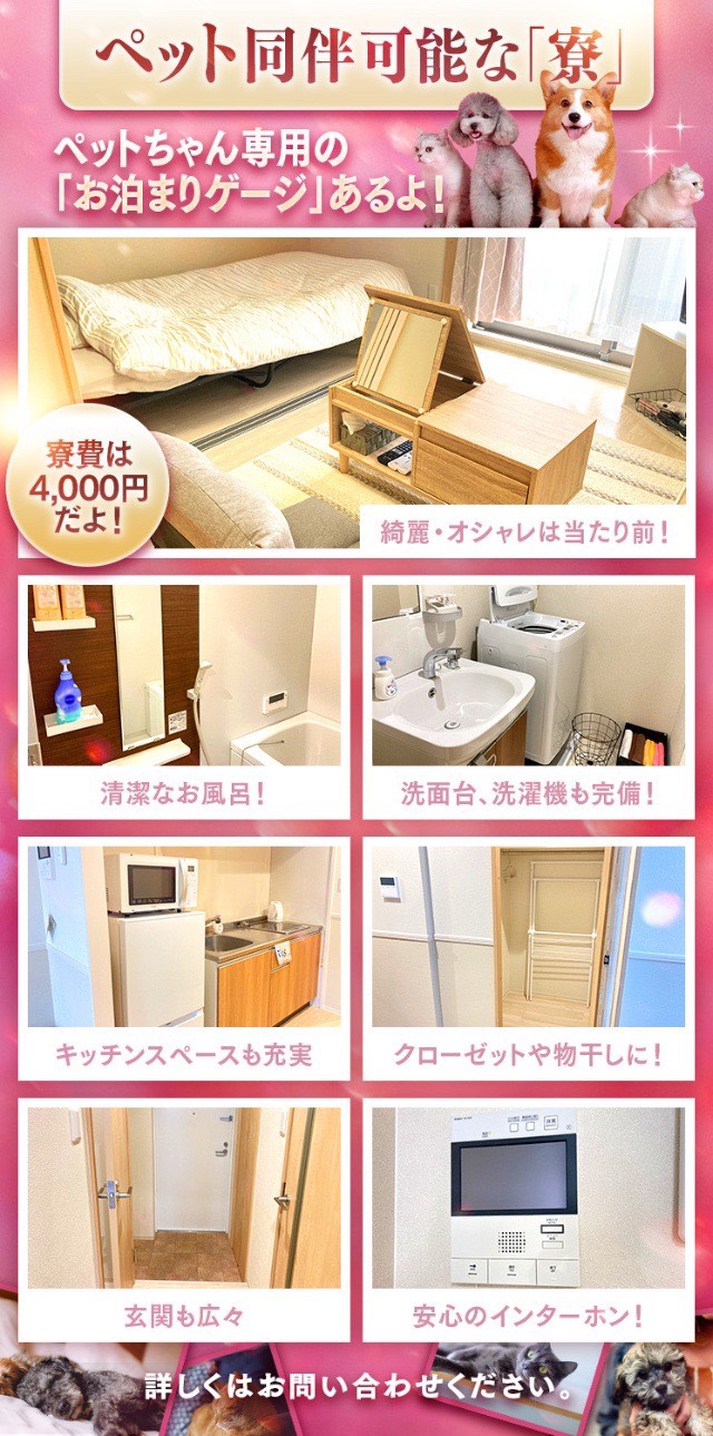 ペット同伴が可能な寮をご紹介?