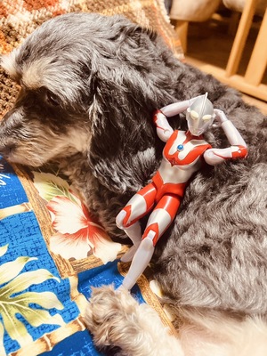 他のお店で働きたいけど・・・・